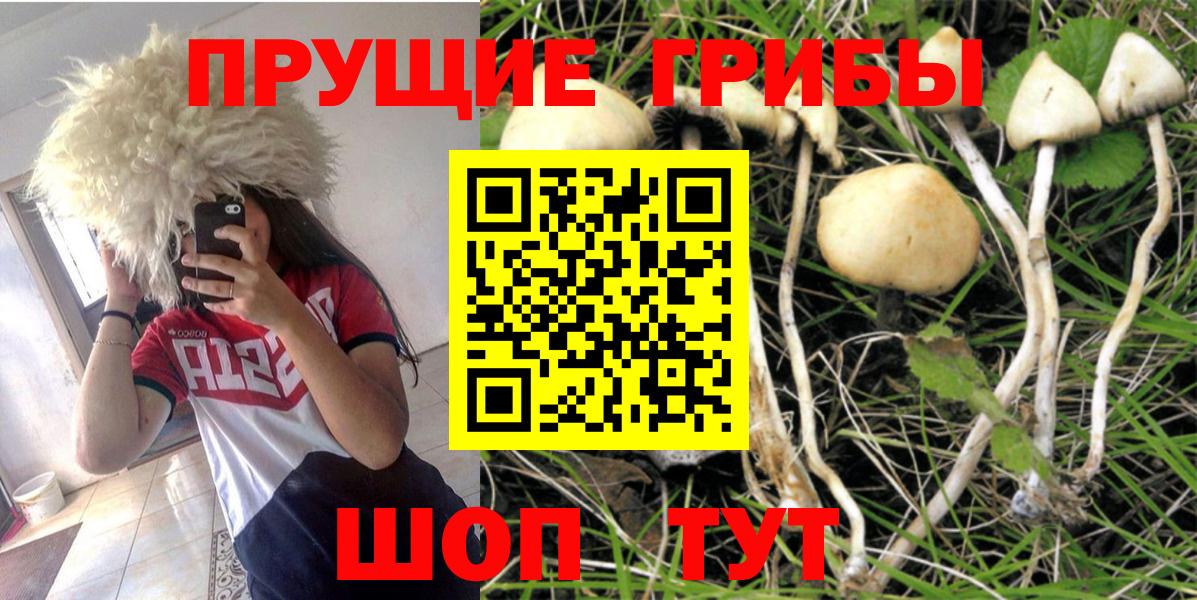 Галлюциногенные грибы Magic Shrooms Керчь