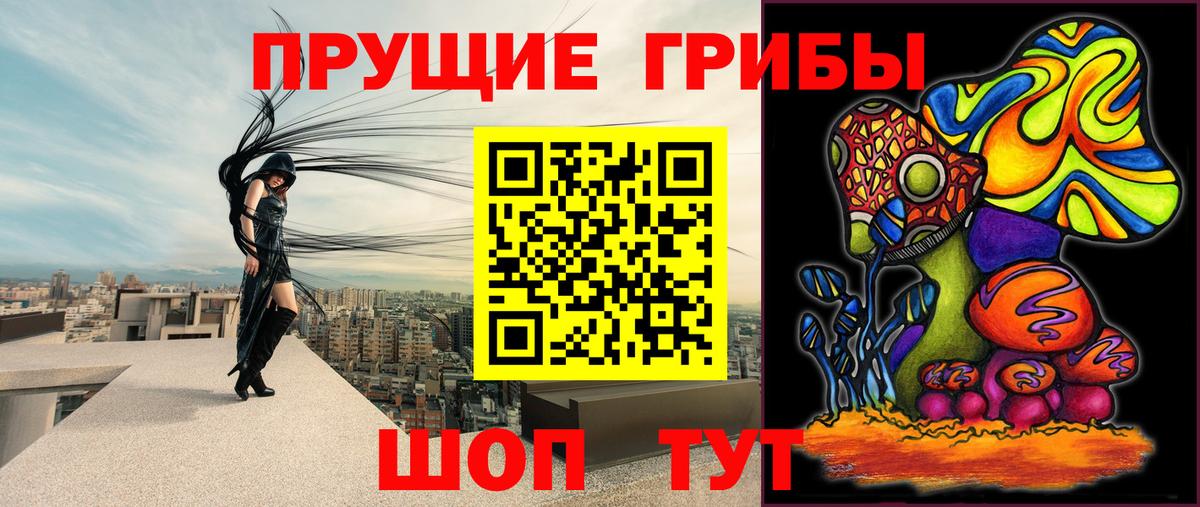 Керчь  Псилоцибиновые грибы GOLDEN TEACHER  что такое наркотик  Вход с VPN 